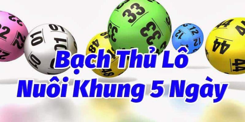 Đánh bạch thủ lô phụ thuộc dấu hiệu lô kép giải nhất