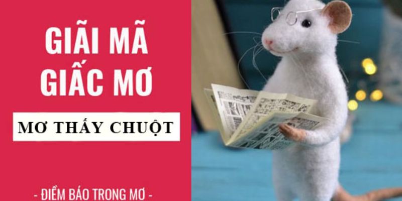 Mơ thấy con chuột, là vận may hay rủi?